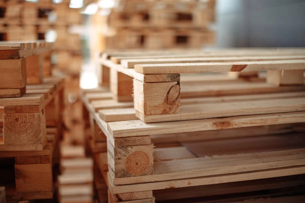 Understanding Logistics for Large Pallet Delivery Services Louisville, KY